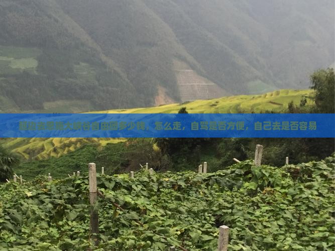 延边去恩施大峡谷自由团