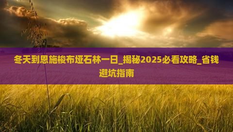 冬天到恩施梭布垭石林一日