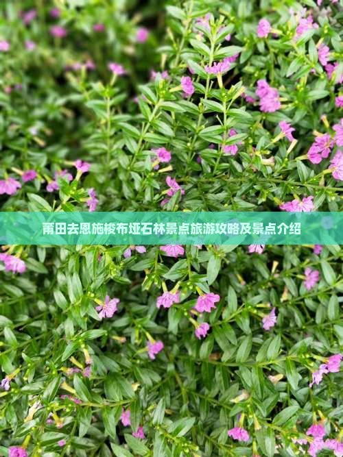 莆田去恩施梭布垭石林景点