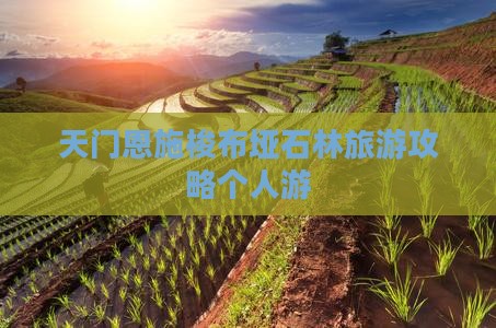 天门去恩施梭布垭石林个人游