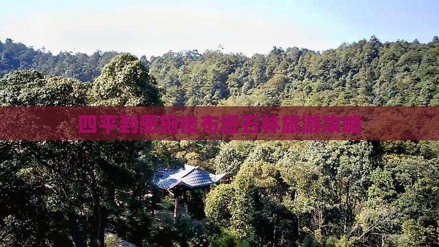 四平到恩施梭布垭石林个人游