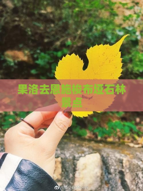 果洛去恩施梭布垭石林景点