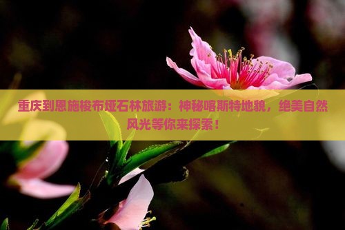 重庆到恩施梭布垭石林旅游