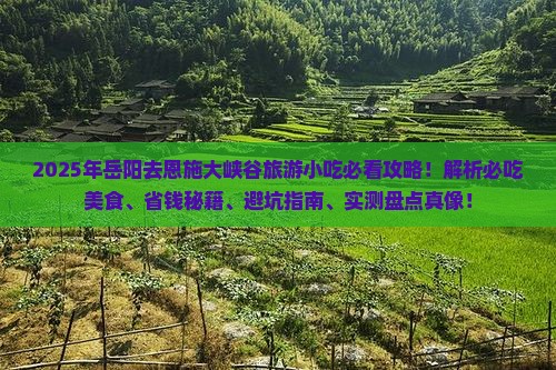 岳阳去恩施大峡谷旅游小吃