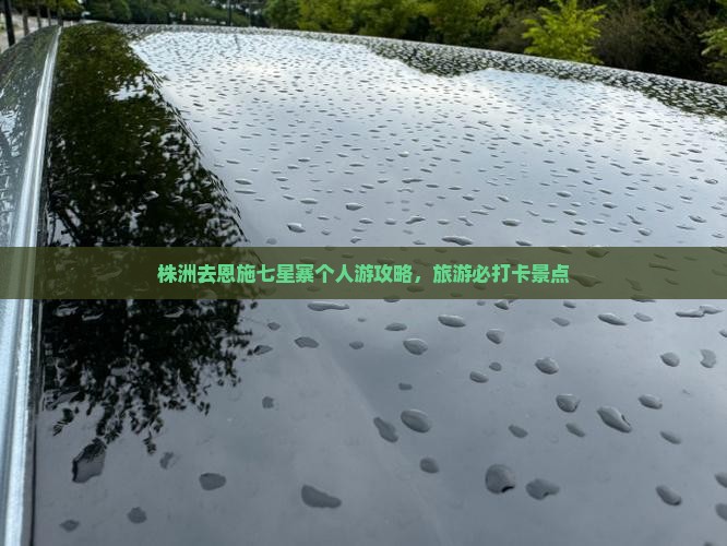 株洲去恩施七星寨个人游