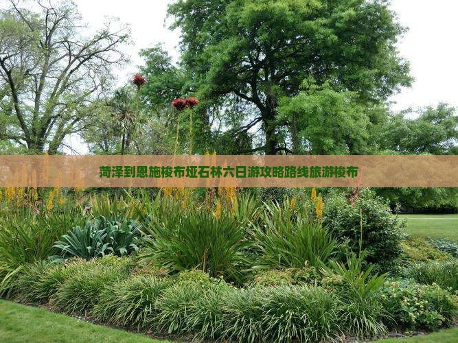 菏泽到恩施梭布垭石林六日游