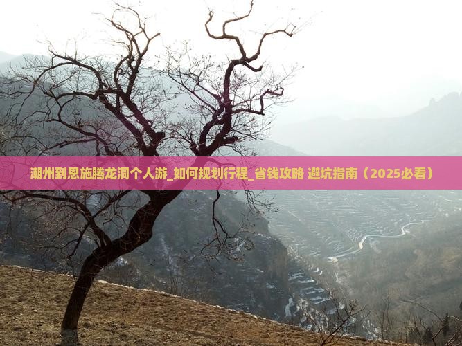 潮州到恩施腾龙洞个人游
