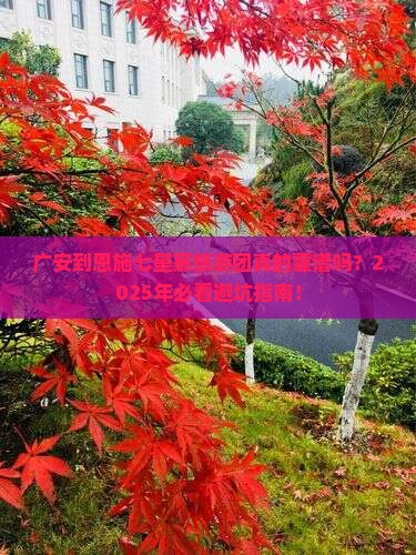 广安到恩施七星寨大型旅游团