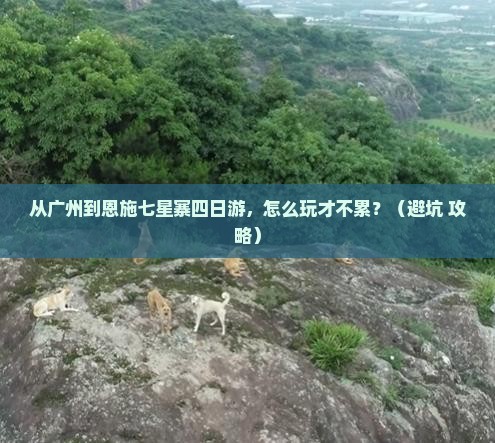 广州到恩施七星寨四日游