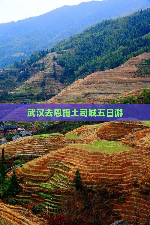 武汉去恩施土司城五日游