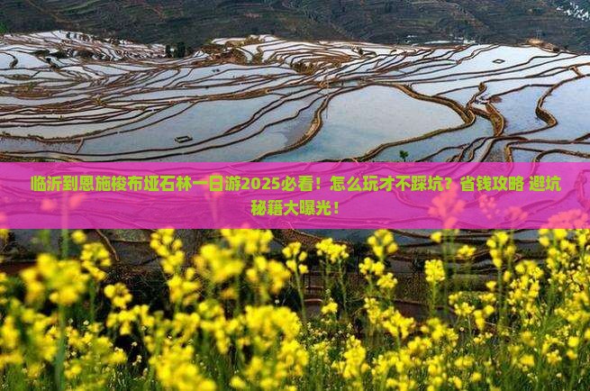 临沂到恩施梭布垭石林一日