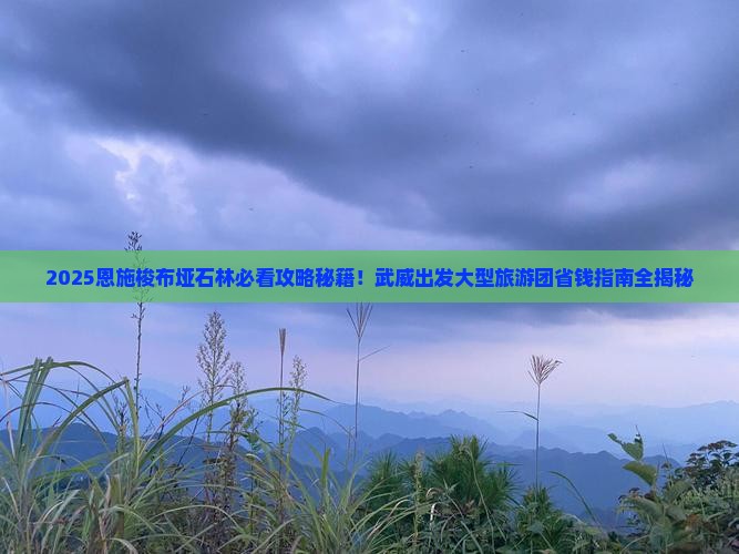 武威去恩施梭布垭石林大型旅游团