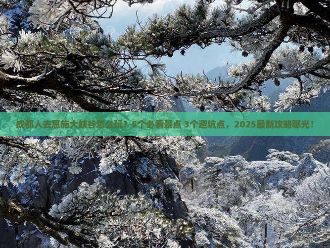 成都去恩施大峡谷旅行社