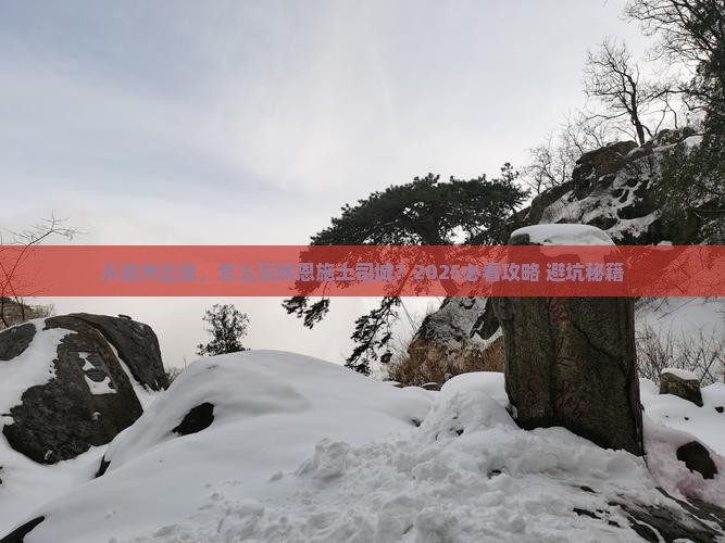 德州去恩施土司城景点