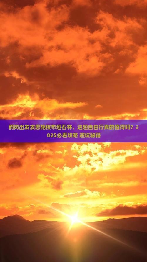 鹤岗去恩施梭布垭石林自由行