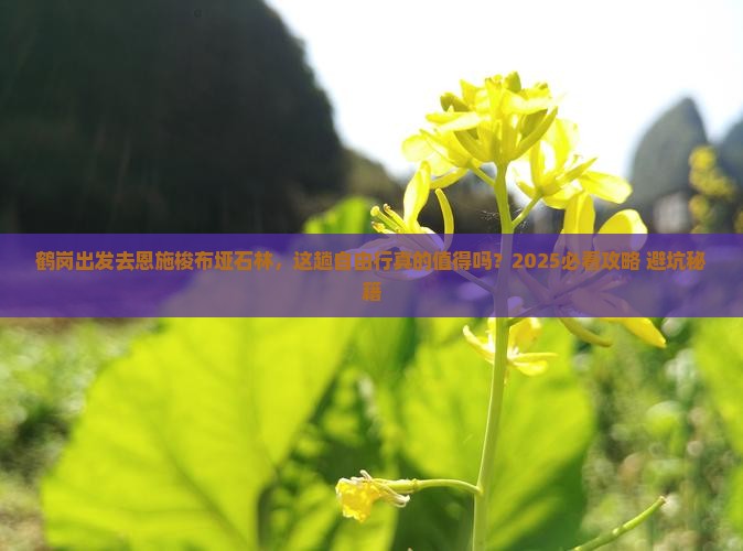 鹤岗去恩施梭布垭石林自由行