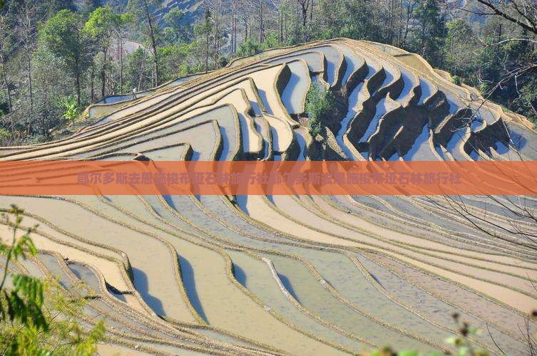 鄂尔多斯去恩施梭布垭石林旅行社