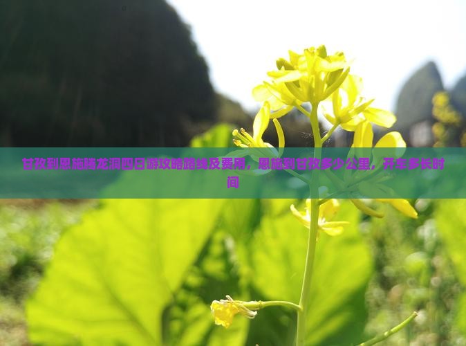 甘孜到恩施腾龙洞四日游