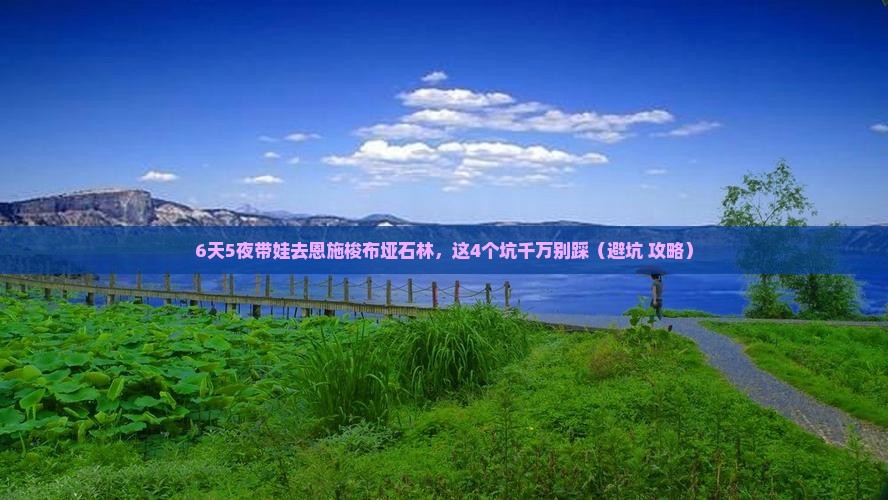 长春到恩施梭布垭石林六日游
