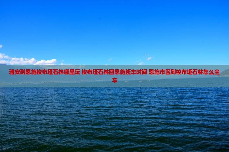 雅安到恩施梭布垭石林哪里玩