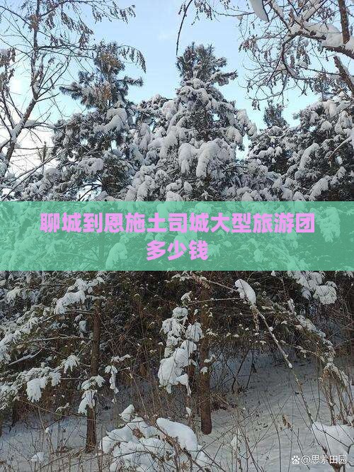 聊城到恩施土司城大型旅游团