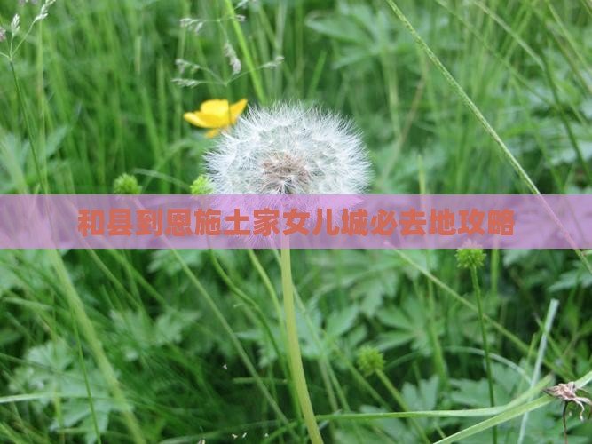 和县到恩施土家女儿城必去地