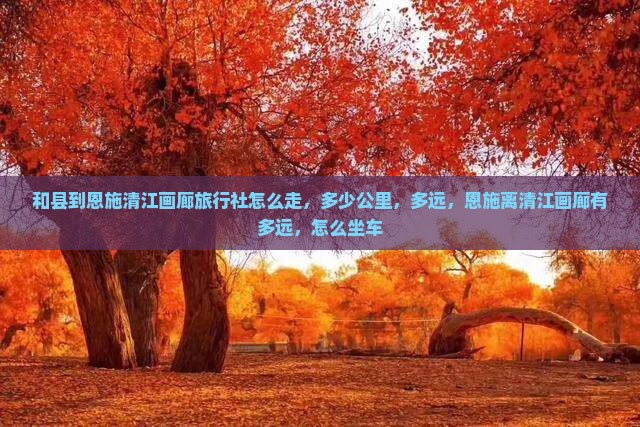 和县到恩施清江画廊旅行社