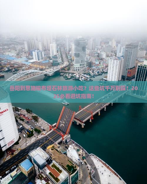 岳阳到恩施梭布垭石林旅游小吃