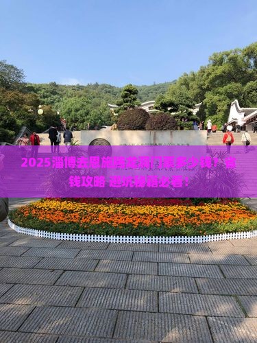 淄博到恩施腾龙洞门票