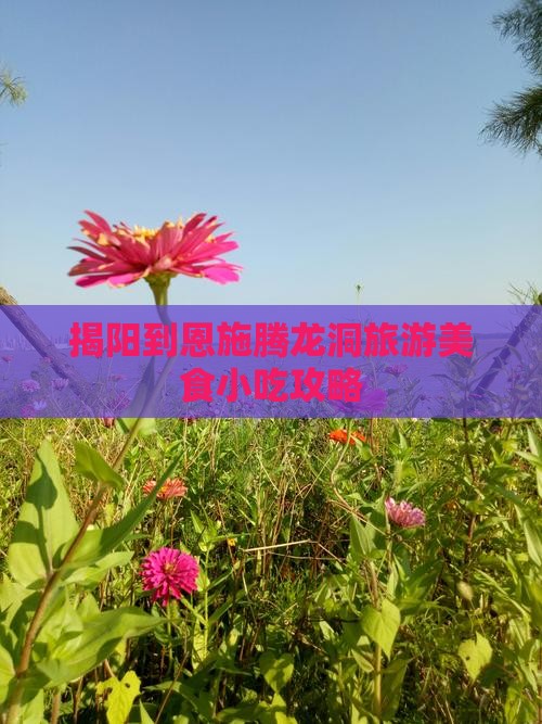 揭阳到恩施腾龙洞旅游小吃