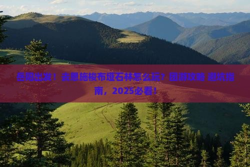 岳阳去恩施梭布垭石林团体旅游