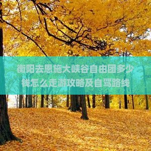 衡阳去恩施大峡谷自由团