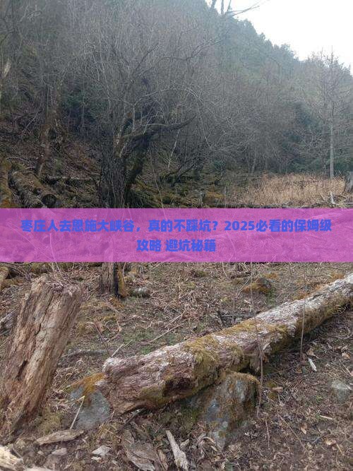 枣庄去恩施大峡谷旅行社