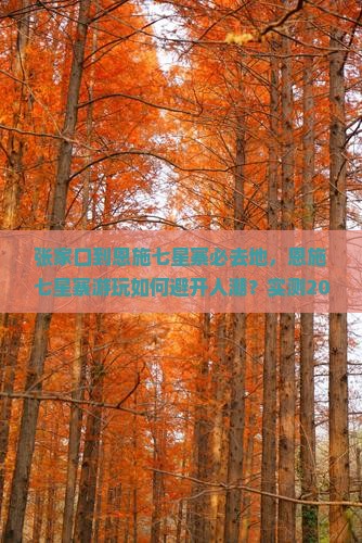 张家口到恩施七星寨必去地
