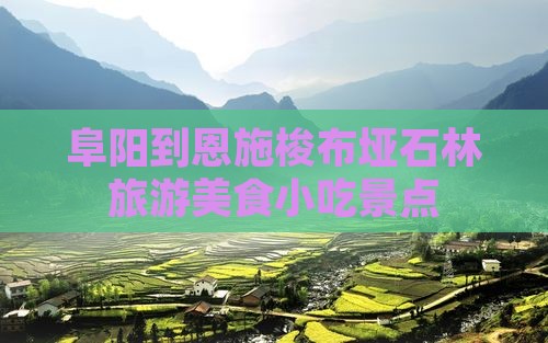 阜阳到恩施梭布垭石林旅游小吃