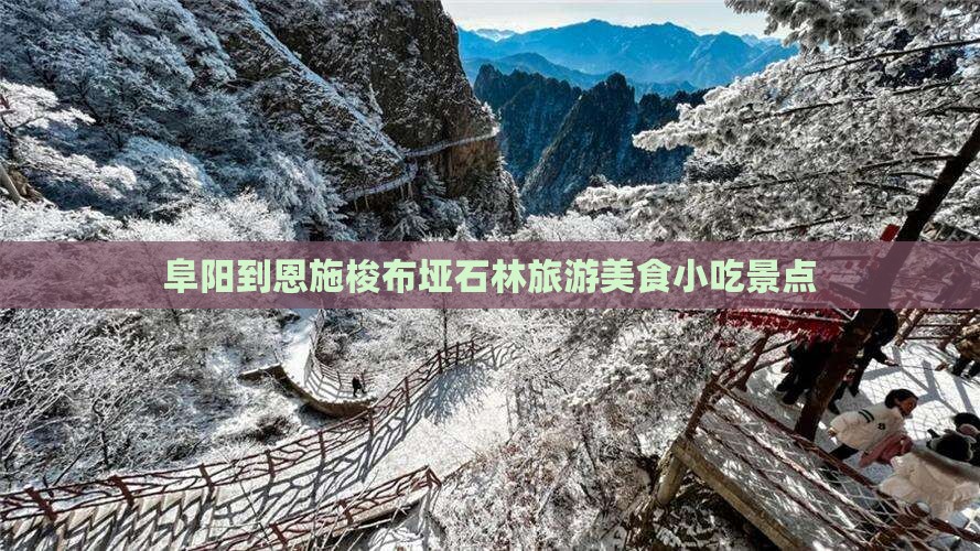 阜阳到恩施梭布垭石林旅游小吃