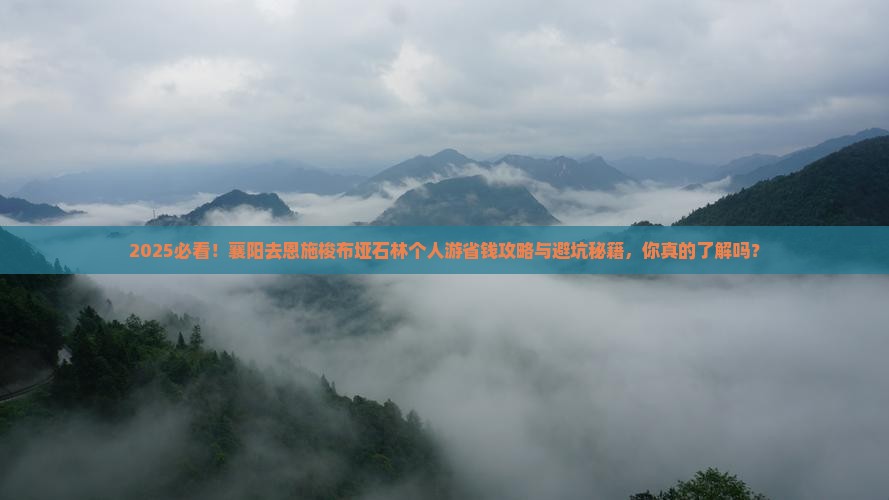 襄阳去恩施梭布垭石林个人游