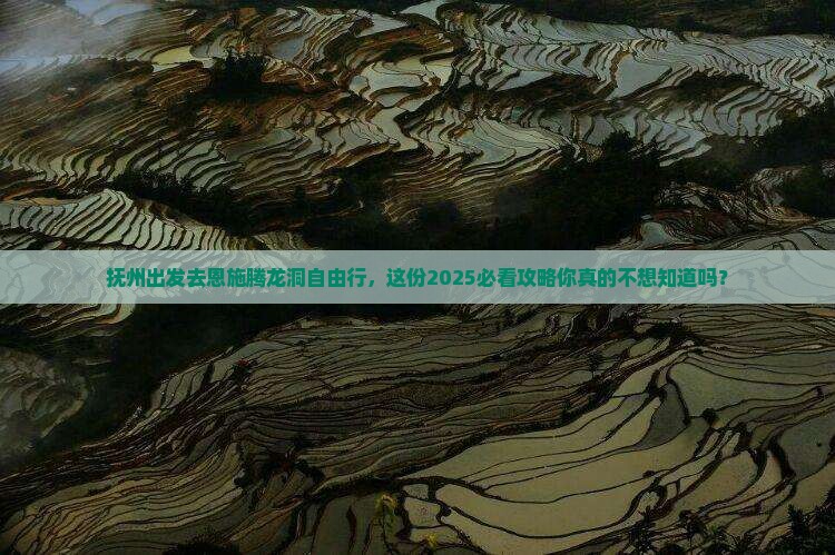 抚州去恩施腾龙洞自由行