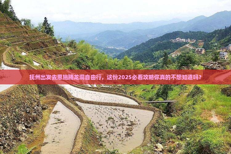 抚州去恩施腾龙洞自由行