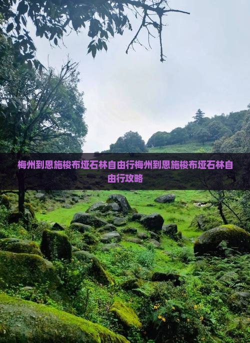 梅州到恩施梭布垭石林自由行