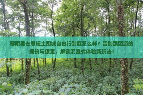 鄢陵县去恩施土司城自由行