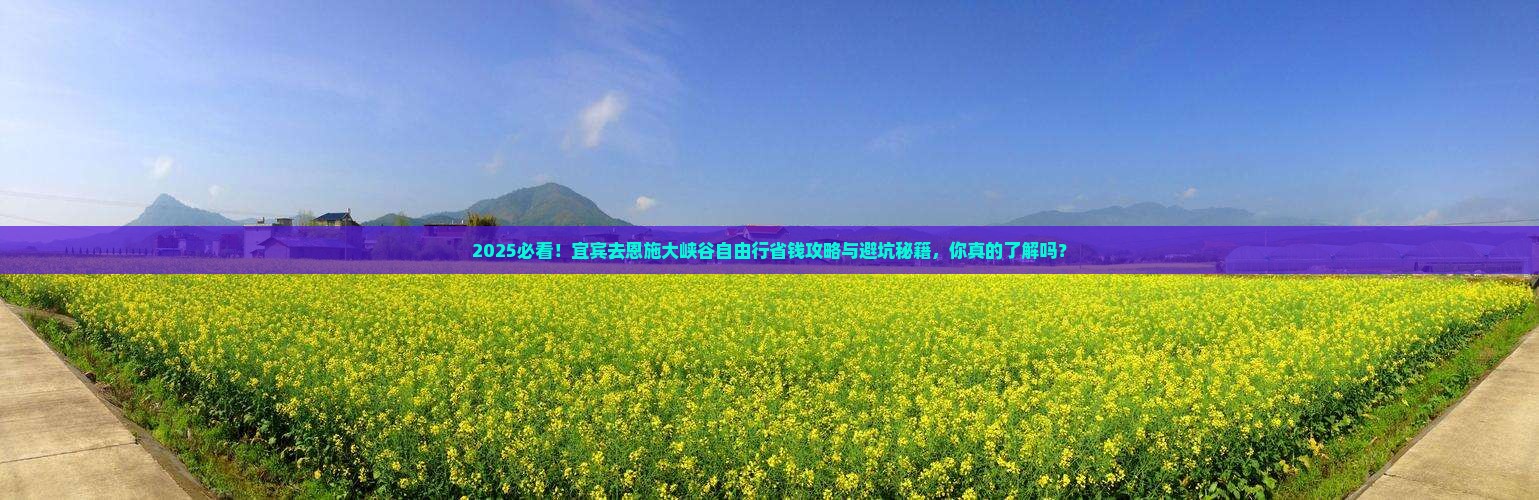 宜宾去恩施大峡谷自由行