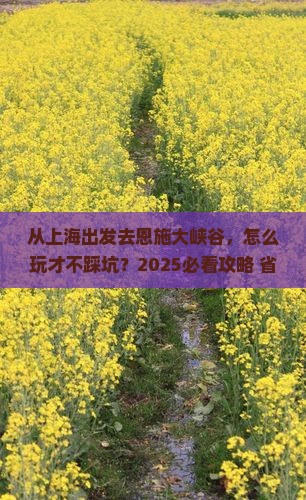 上海去恩施大峡谷景点