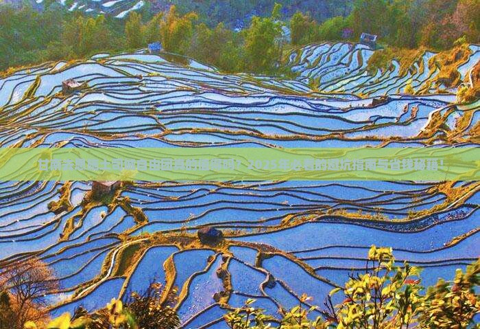 甘南去恩施土司城自由团