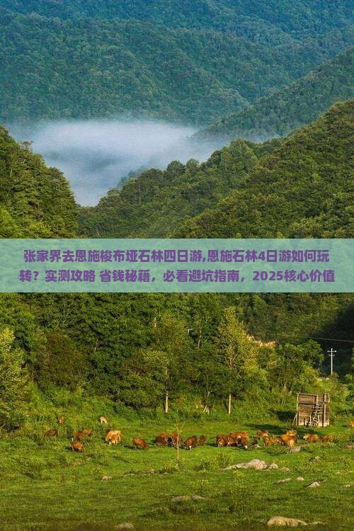 张家界去恩施梭布垭石林四日游