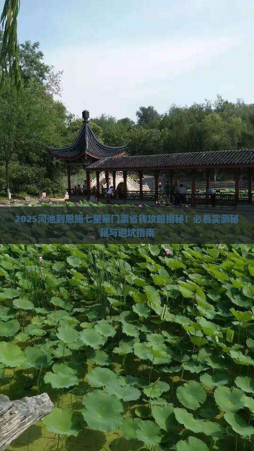 河池到恩施七星寨门票 河池到恩施七星寨门票
