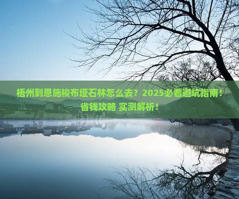 梧州到恩施梭布垭石林攻略