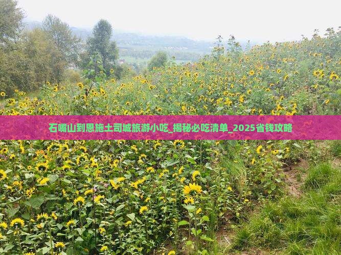 石嘴山到恩施土司城旅游小吃