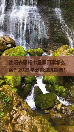 沈阳去恩施七星寨门票 沈阳去恩施七星寨门票
