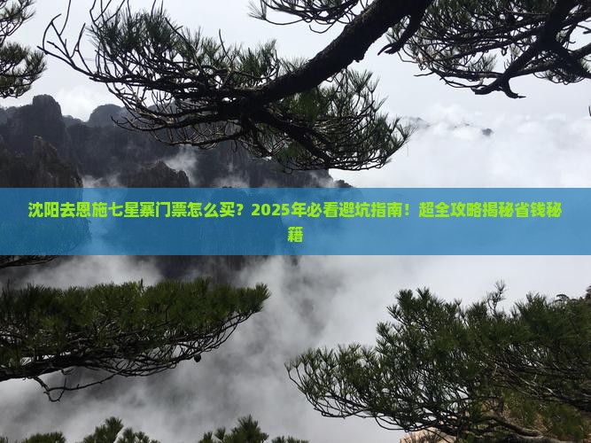 沈阳去恩施七星寨门票 沈阳去恩施七星寨门票